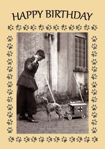 ITALIAN GREYHOUND DOG BIRTHDAY GREETINGS NOTE CARD - Picture 1 of 1
