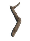 34” Drift Co. Driftwood taxidermy aquarium terrarium art freshwater decor 6