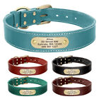 Genuine Leather Personalized Pet Dog Collar With Name Number Engraved Adjustable