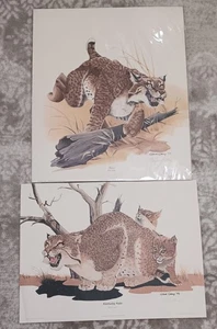 Gene Gray Signed And Numbered Prints 1975 And 1977 With Official Wildcats Fan  - Picture 1 of 12