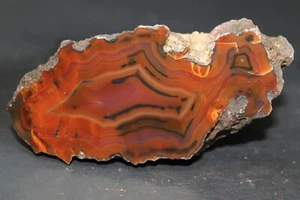 Condor agate collector specimen (Fluorescent) - Picture 1 of 5