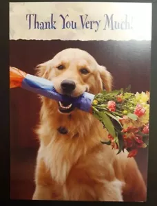 Funny Thank You Card - Picture 1 of 5