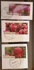 Australia 2024 new pre stamped envelopes ‘cutout pieces’ flowers fine used
