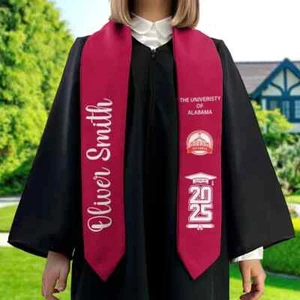 Personalized Graduation 2025 Sash, Class Of 2025 Any University Grad Stoles - Picture 1 of 8