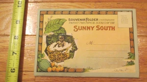 Sonniger Süden USA Souvenir Ordner 2-seitige Bilder Ansichten Postkarte - Bild 1 von 4