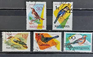 Timbres Hongrie Oiseaux 1961 - Photo 1/1