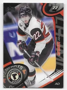 04/05 QUEBEC REMPARTS TEAM ISSUE Alexander Radulov #10 - Picture 1 of 1