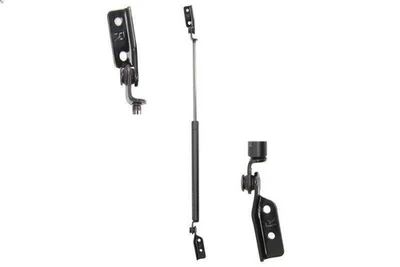 Gasfeder, Koffer-/Laderaum LESJOFORS 8162024 für ALMERA I (N15) 1.5 1995-2 - Bild 1 von 4