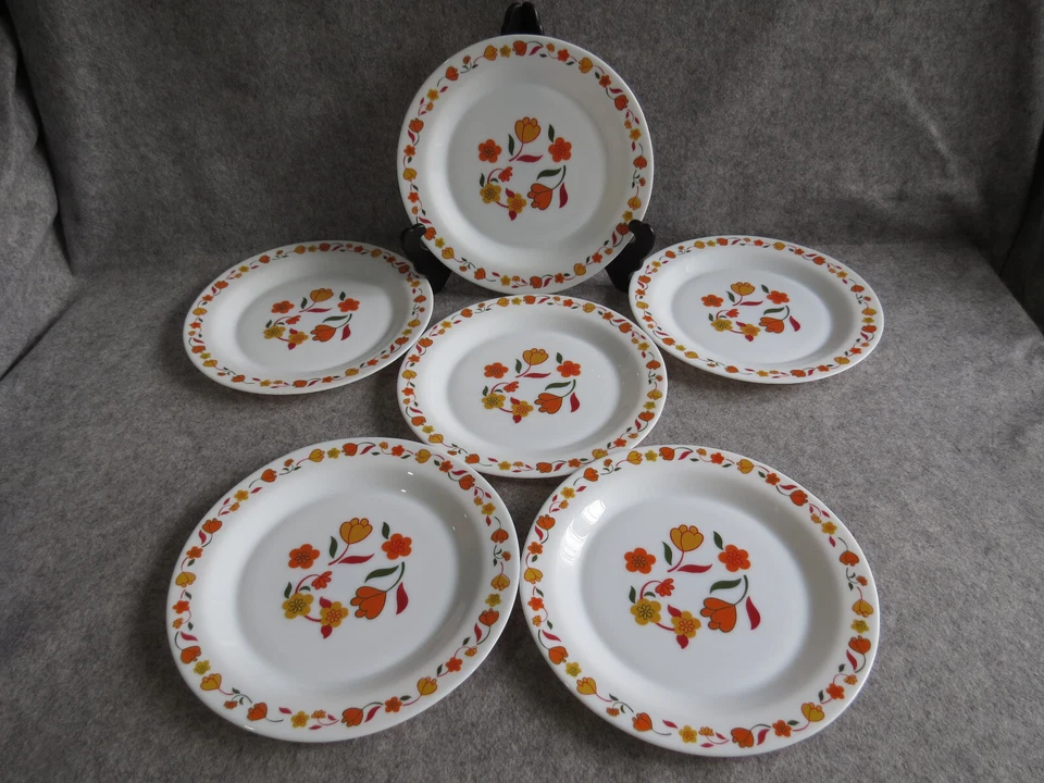 6 assiettes plates arcopal motif floral vintage - Photo 1/4