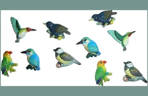10 chinchetas o colibríes de espalda plana, loros, pájaros, gorriones alfileres de empuje - Imagen 1 de 3