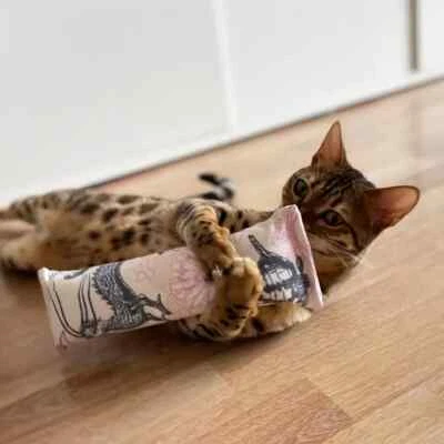 4cats - Japan Collection Cat Wrestler Cat Toy With Catnip or Valerian - Image 1 of 4