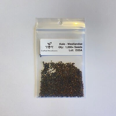 Kale Westlandse 1000+ Seeds Sprouting untreated MICROGREENS/Full Grown plants - Image 1 of 3