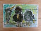 Original Gouache Painting Young Crows Funny Black Birds F K Owen Colour Sketch 