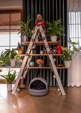 Il lettino GaGaDumi SIMBA con separé e cuscino per cani e Gatti