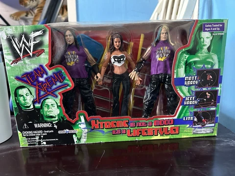 Sealed Matt & Jeff Hardy Boys Lita Team Xtreme Action Figure WWF WWE 2001 Jakks Cover