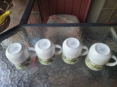 Juego de 4 tazas de uvas toscanas Oneida Casual Settings Cheri Blum 9 OZ Foto 1 de 4