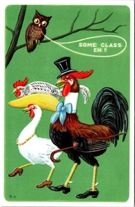 Class Eh? FANCY ROOSTER & HEN~Hats/Shoes OWL ca1910's Anthropomorphic Postcard - Picture 1 of 2