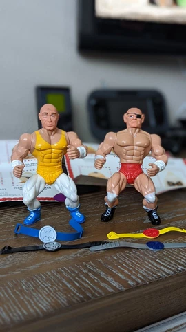 Wrestling Champions Tag Team 1980s Heroes Figures MOTU by Madison LTD WCW WWF Cover
