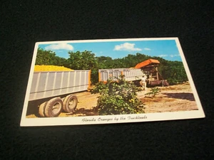 Vintage Postcard- Florida Oranges by the Truckloads - Picture 1 of 2
