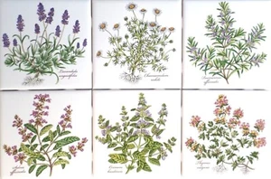 Botanical 6x6 Keramikfliesen Kräuter 6er Set Ofen gebrannt Lavendel - Bild 1 von 6