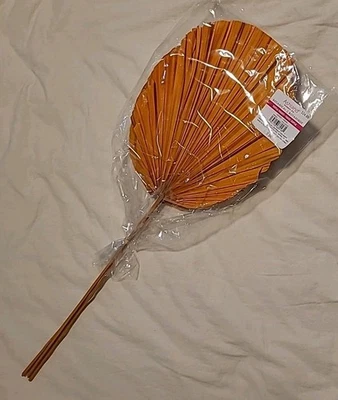 Abanicos Botánicos Tropicales Paraíso Hojas Verde Secos Sol Palma Naranja Óxido 3 Piezas Foto 1 de 4