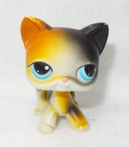LITTLEST PET SHOP LPS #106 HASBRO CHAT EUROPEEN ORANGE BLANC ET NOIRE YEUX BLEUS - Picture 1 of 5