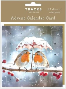 Christmas Advent Calendar Card Robins Under Frozen Umbrella Foil Finish NO TREAT - Picture 1 of 1