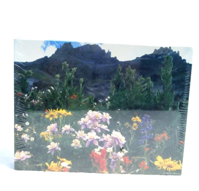 NEW Springbok Puzzle 500 Pieces Wildflower Valley Hallmark SEALED Vintage Jigsaw - Image 1 of 4