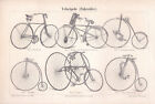 ca 1890 OLD BICYCLE , Velocipede, Fahrräder, Antique Lithograph Print