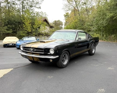 Ford Mustang Mustang Fastback Hertz GT350 1965 289 5 velocidades Foto 1 de 4