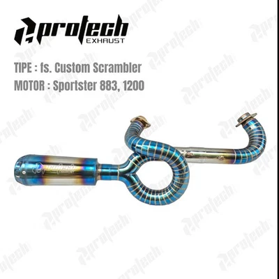 2 Into 1 Custom Exhaust Pipe For Harley Davidson Sportster Iron 883 / 1200 Foto 1 de 4