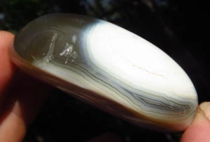 ORCA AGATE POLISHED HEALING WAVES OF THE WHALE CRYSTAL PALMSTONE MADAGASCAR *8 - Picture 1 of 9