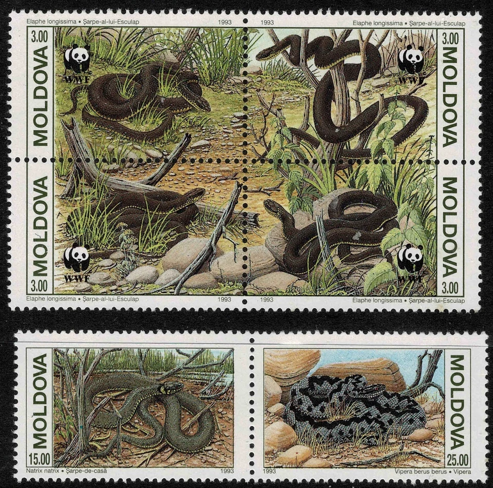 Moldavia 1993 Animales protegidos - Serpientes - Juego completo de seis estampillas - MNH Foto 1 de 1