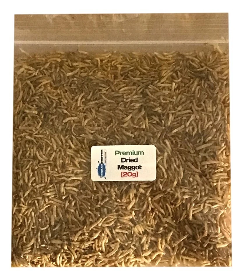 Dried Maggot | Tropical Fish Food, Koi, etc. | Aquarama® Premium Grade [1 x 20g]