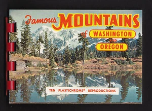 Vintage Landschaft Album Famous Mountains Washington & Oregon Broschüre Postkarte - Bild 1 von 9