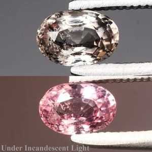 💎 0,58ct 5,5x4mm Oval Natürlicher Farbwechsel Granat - Unbeheizt, Afrika Edelstein - Bild 1 von 6