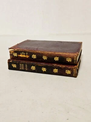 (2) 1909 T. Nelson & Sons Charles Dickens Books David Copperfield & Bleak House - Imagem 1 de 4