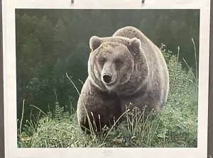 Unübertroffener Charles Frace Wildlife Grizzlybär signierter Braunbär Kunstdruck - Bild 1 von 9