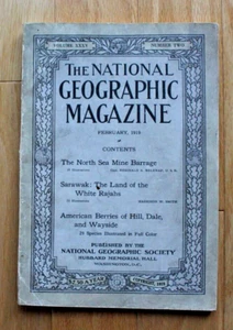National Geographic febrero de 1919; bombardeo de minas del Mar del Norte; Sarawak; bayas - Imagen 1 de 16