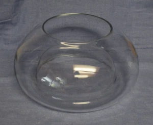 Eco 10" Glass Dish w/ Raised Center Plants Garden Terrarium Vase Holiday Decor - Picture 1 of 3