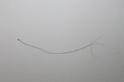 Class 5 Tri-Color LED only TRI-COLOR LIGHT EMITTING DIODE ONLY NO SIGNAL - Image 1 of 2