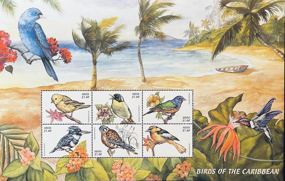 Folha de selos de pássaros do Caribe de Nevis 2000 MNH KINGFISHER FAUNA SELVAGEM 1 - Imagem 1 de 1