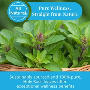 2.6 Oz Dried Holy Basil Leaves, 100% Natural Tulsi Leaves, Loose Leaf Tea - Picture 1 of 13