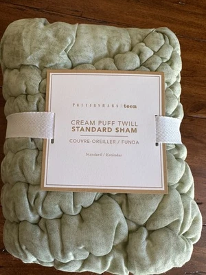 Pottery Barn Adolescente Crema Puff Microfibra Estándar Falsa Salvia Nuevo con etiquetas Foto 1 de 4