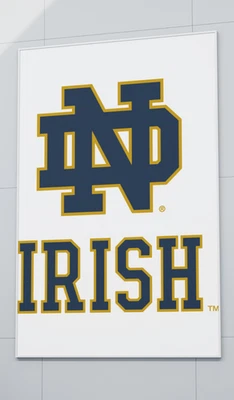 XL 5 Ft Play Like a Champion Today - Felt Banner Sign - Image 1 of 2