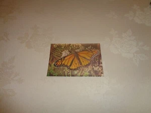 Modern Reflective Foil Monarch or Milkweed Butterfly Postcard - DUFEX 501604 - Picture 1 of 2