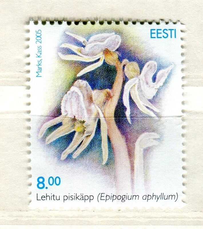 EST_325- 2005 Estonia flores orquídea FLORA MNH Foto 1 de 1