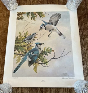 Vogelfamilie Druck Bernard Martin Blue Jays signiert 41/350 nummeriert 1978 - Bild 1 von 12