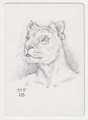 Signed Purraj of Urborg Proof Sketch LP Mirage Artist John Matson MTG Magic AP! - Image 1 of 2