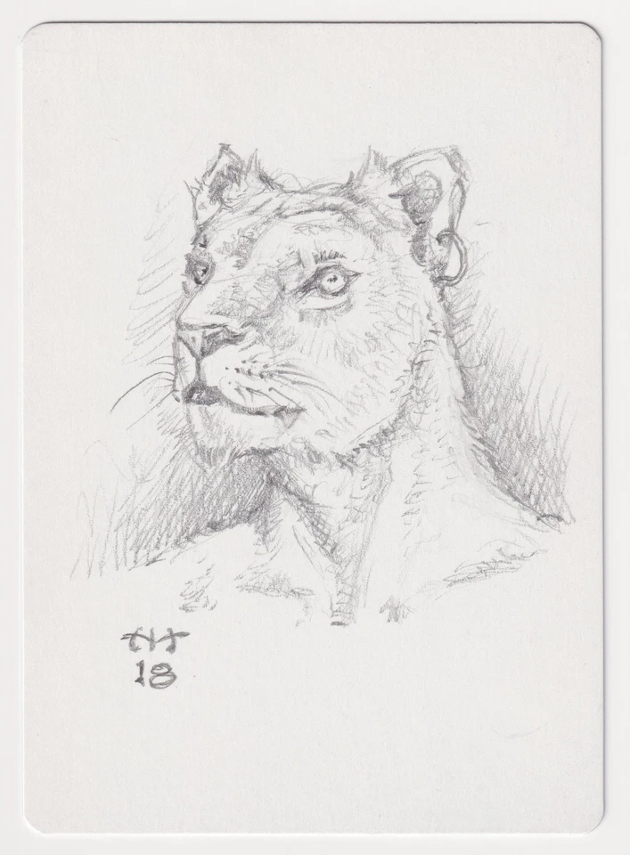 Signed Purraj of Urborg Proof Sketch LP Mirage Artist John Matson MTG Magic AP! - Image 1 of 2